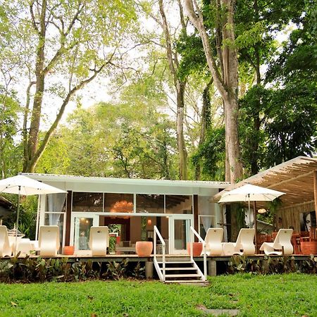 Gigi Brown Villa Frida Beachfront Puerto Viejo de Talamanca Luaran gambar
