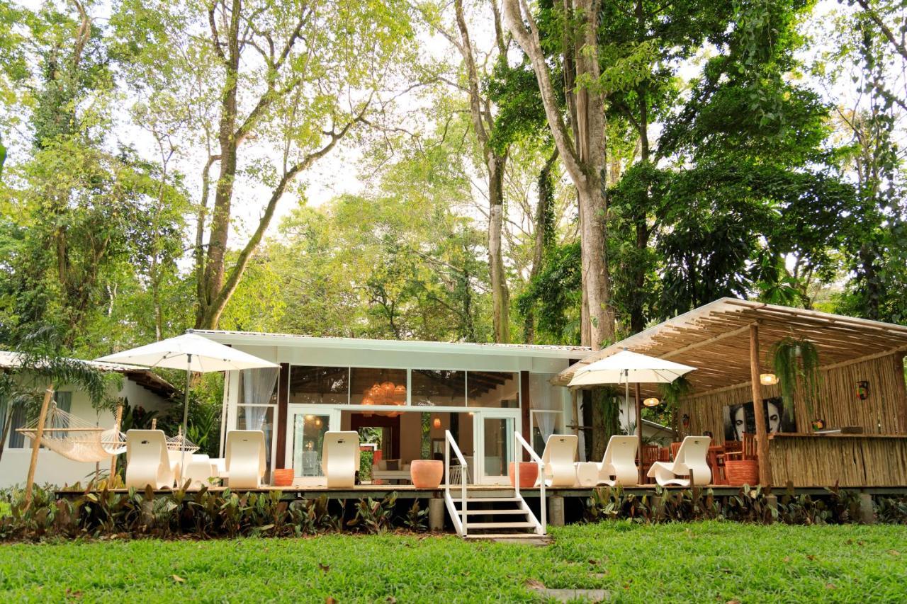 Gigi Brown Villa Frida Beachfront Puerto Viejo de Talamanca Luaran gambar