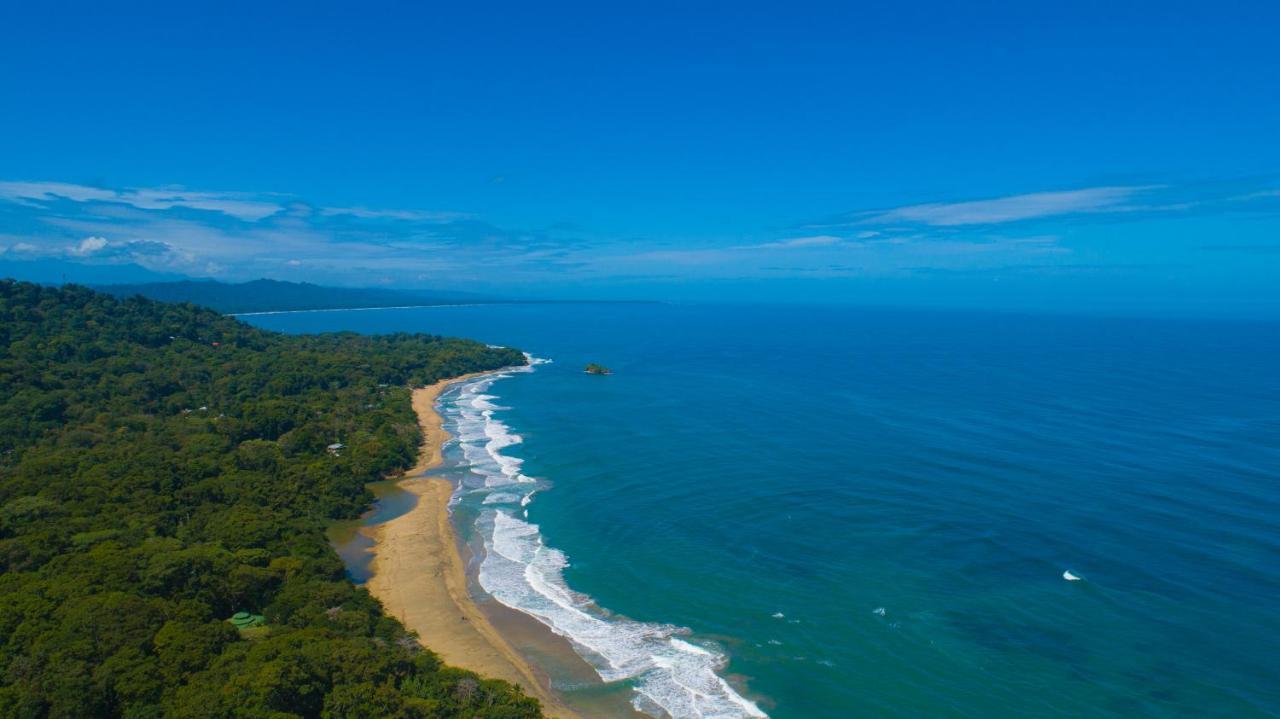 Gigi Brown Villa Frida Beachfront Puerto Viejo de Talamanca Luaran gambar
